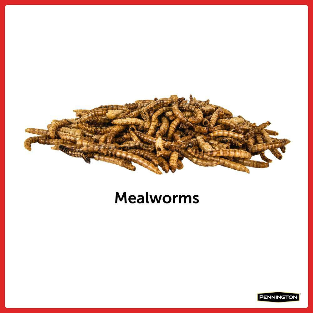 Select 17.6 Oz. Mealworms Wild Bird Food