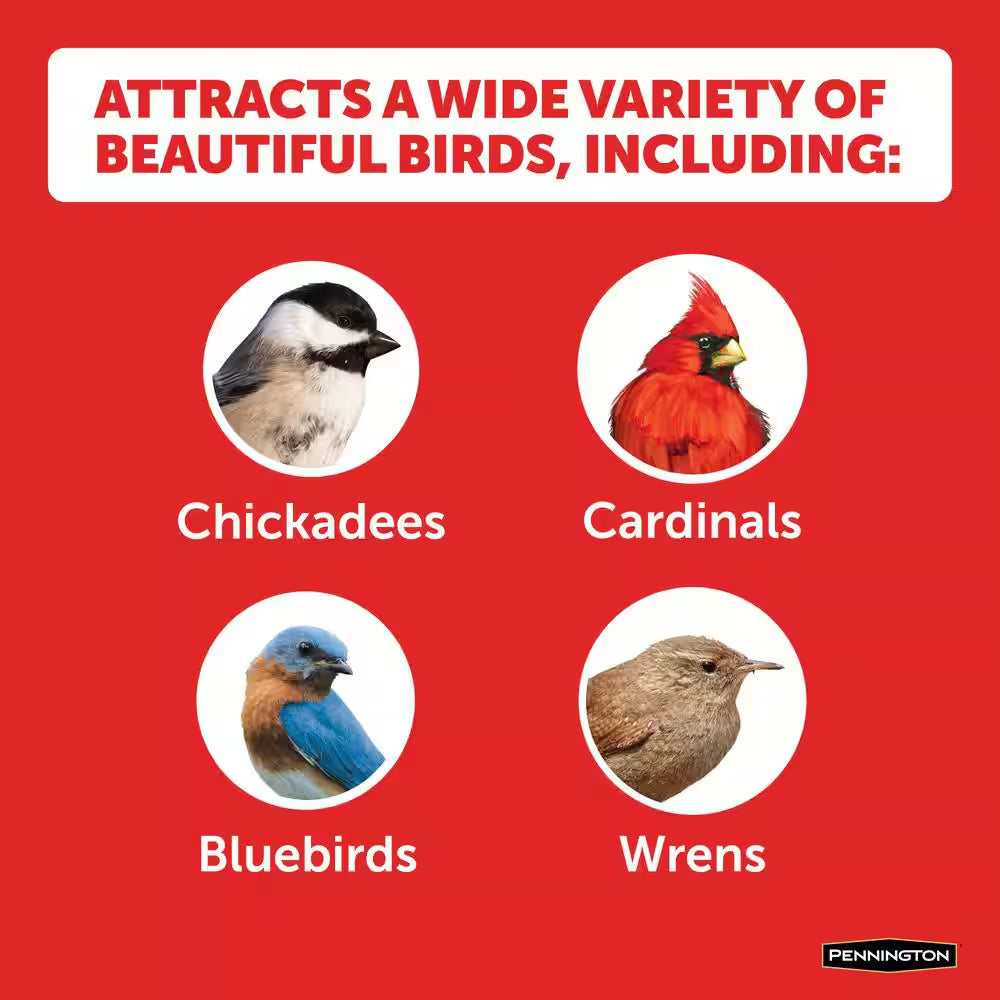 Select 17.6 Oz. Mealworms Wild Bird Food