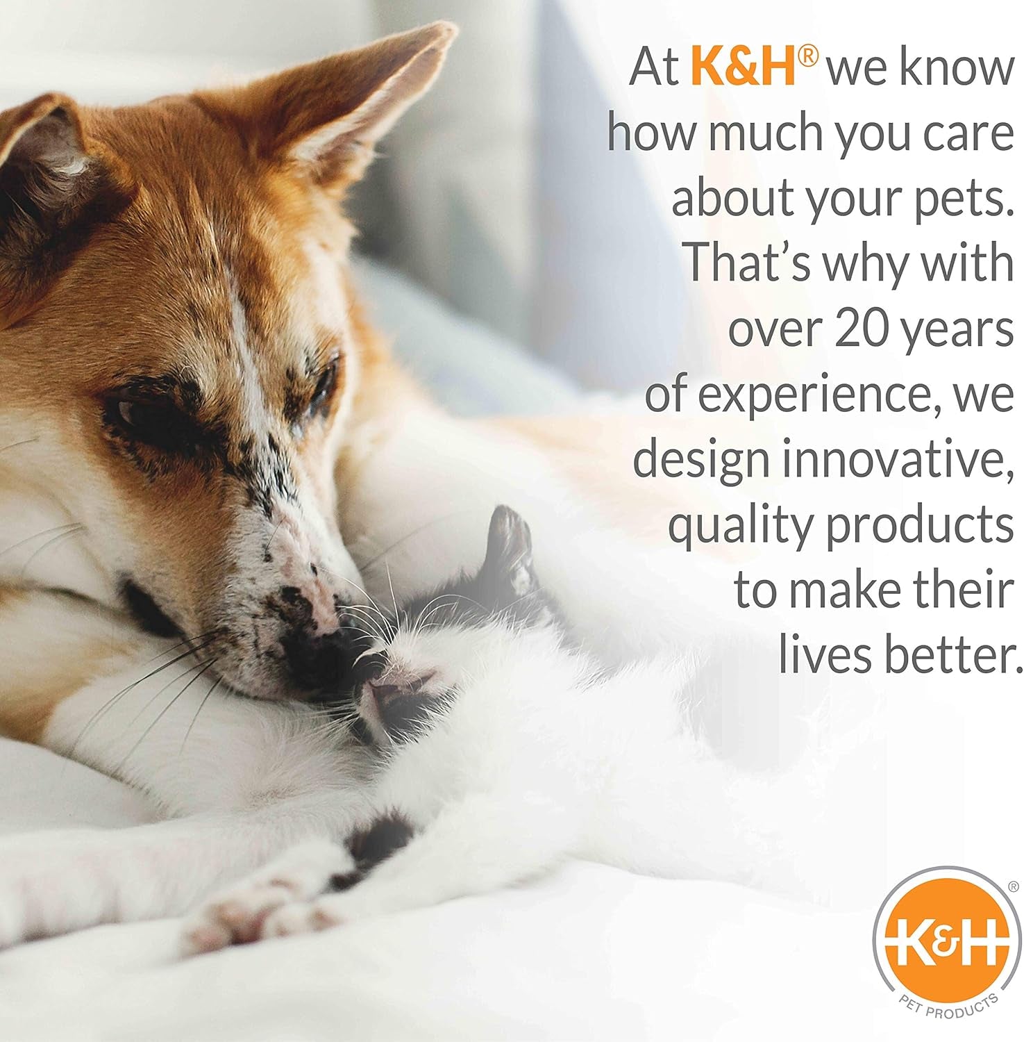 Mod Capsule Soft-Sided Pet Carrier for Cats Clear 17 X 17 X 15.5 Inches