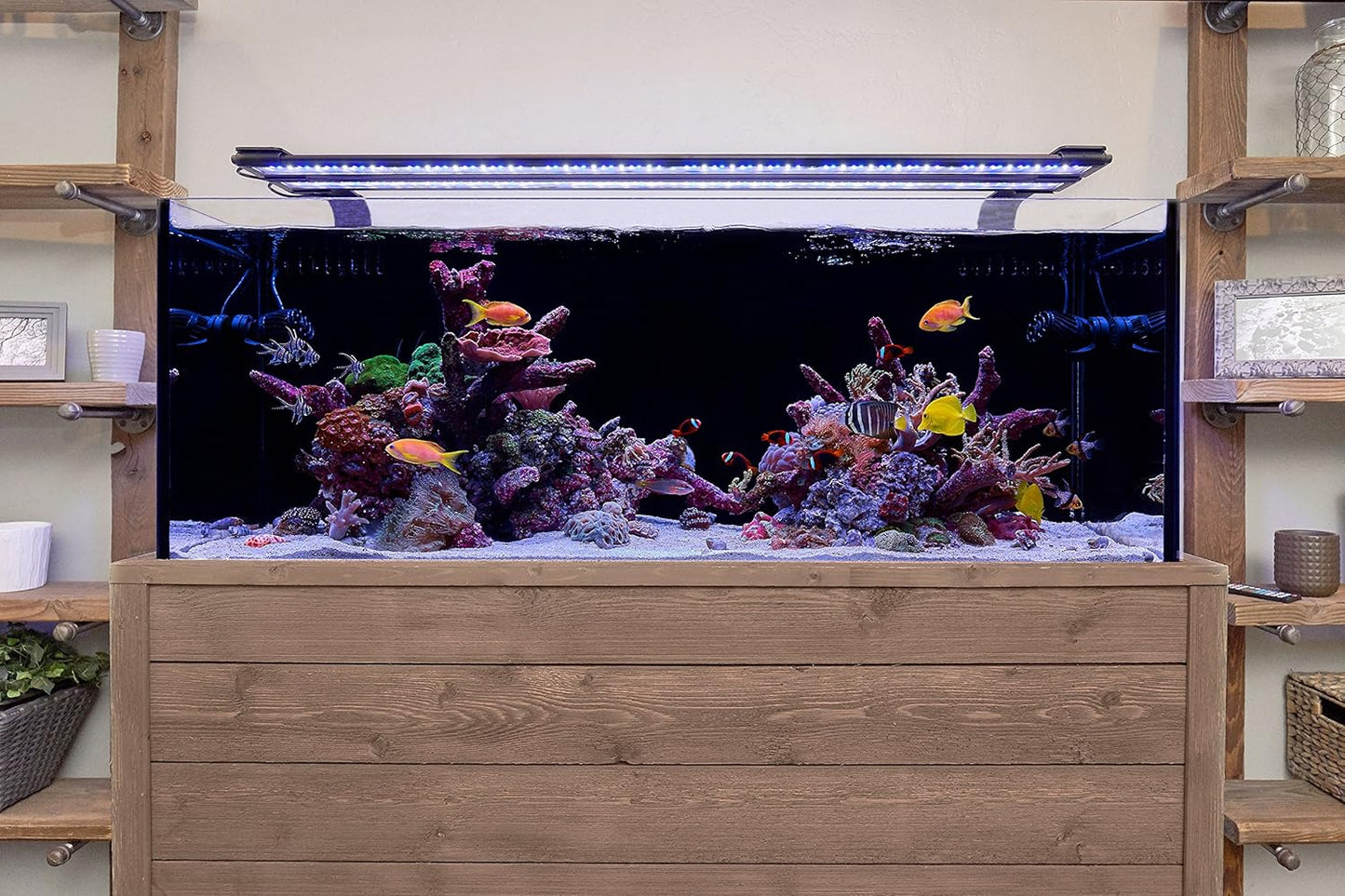 USA Orbit Marine LED Light, 18"-24" | with LOOP IR Controller for Wireless Lighting & Wave Pump Control, Model Number: 4100