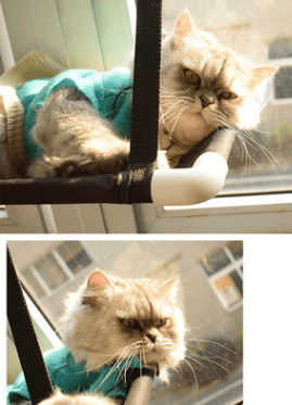 Luxury Cat Haven: The Ultimate Window Sill Cat Hammock-3