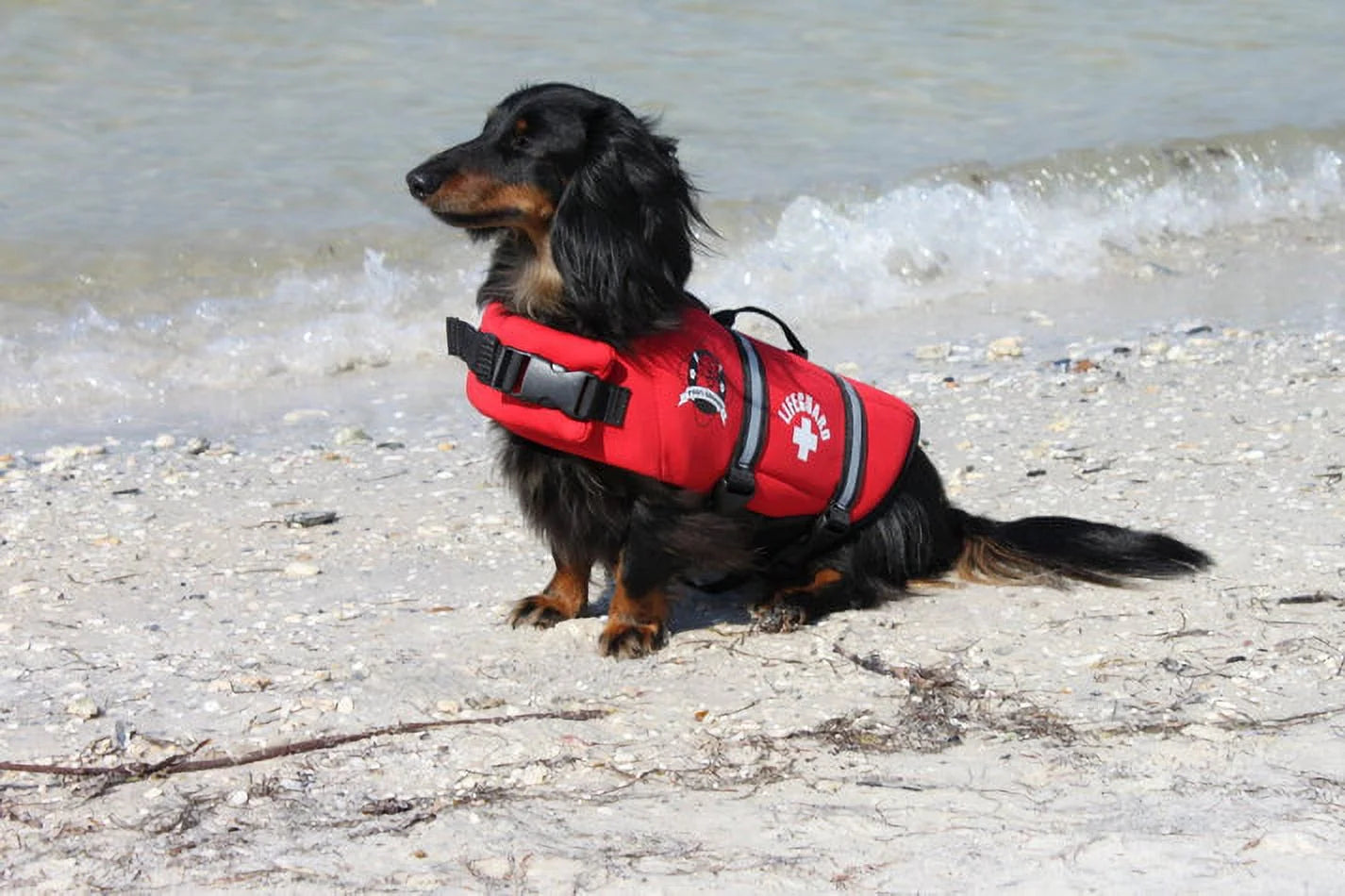 Fido Pet Products R1400 M - Red Lifeguard Neoprene Dog Life Jacket