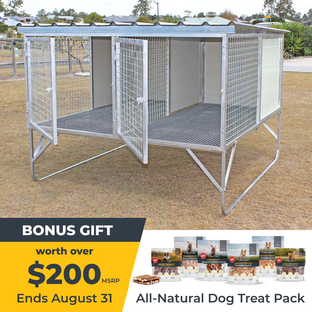 Raised Safety Kennel