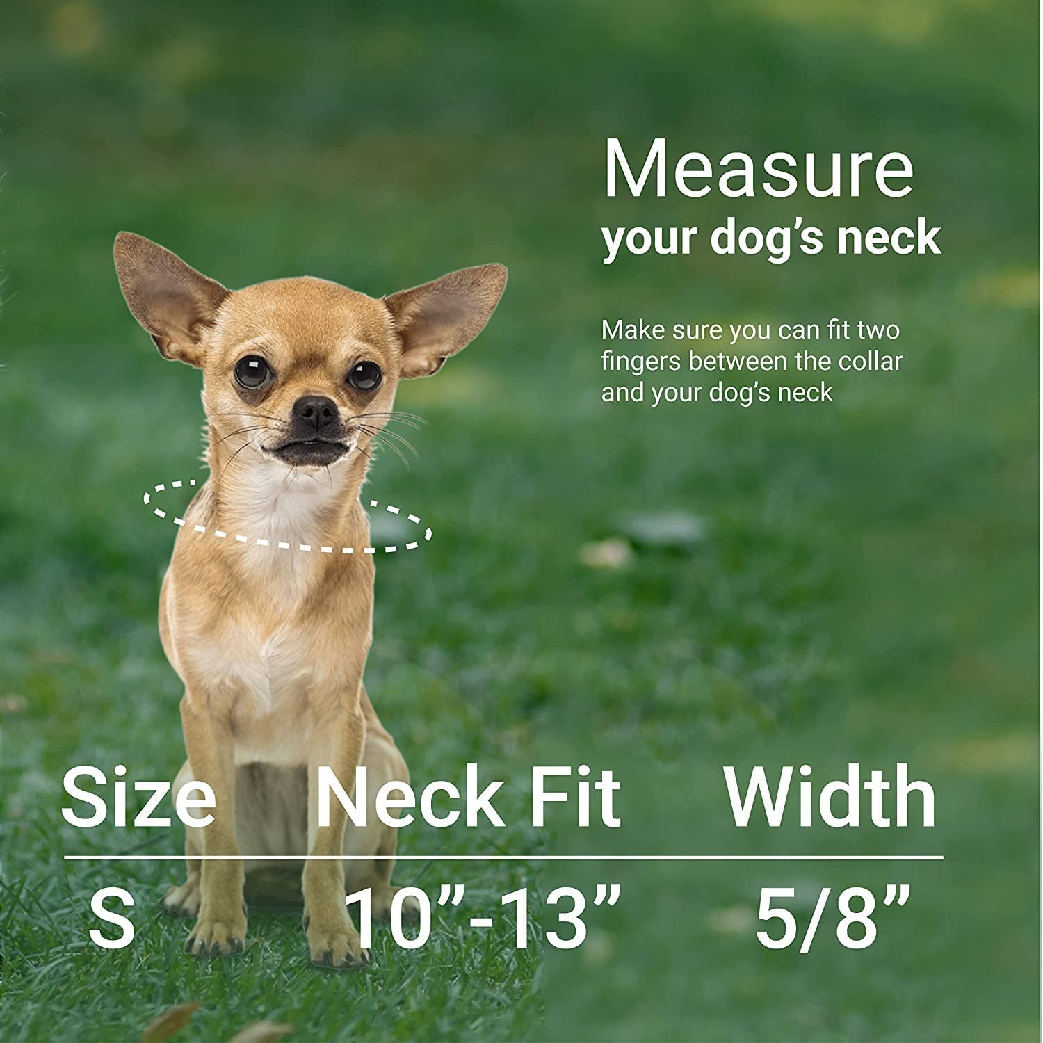 Nylon Dog Collar Aztec Geometric Pattern Ethnic Teal 10-13 Inch