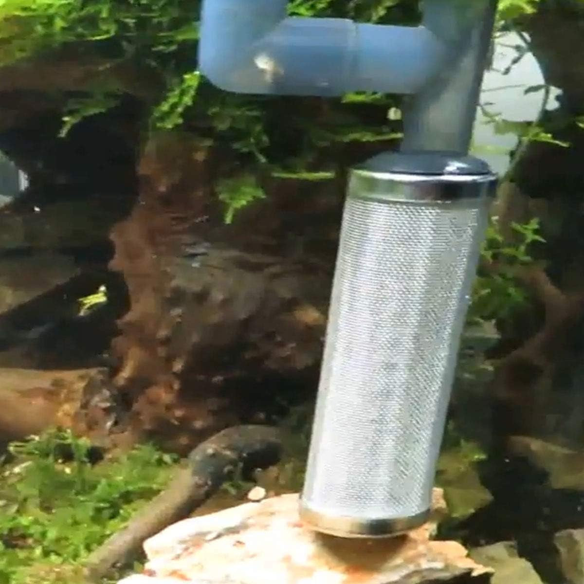 ny 16Mm Aquarium Inflow Inlet Filter Stainless Steel Fish Shrimp Mesh Net Filter Guard,Fish Tank Intake Strainer Pre-Filter Cover