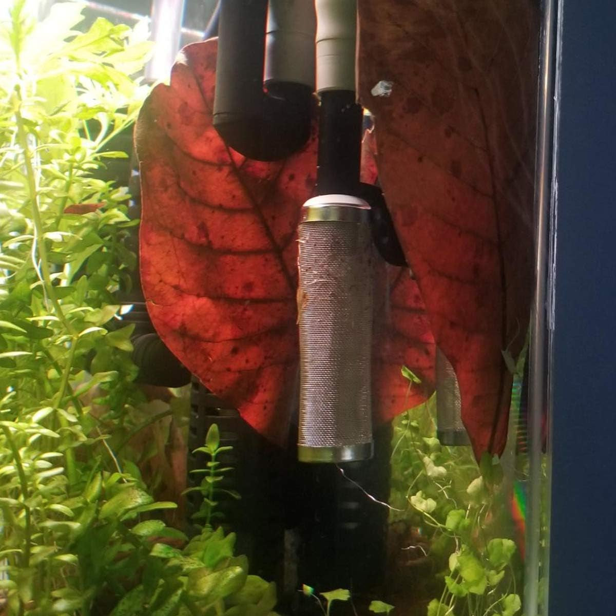 ny 16Mm Aquarium Inflow Inlet Filter Stainless Steel Fish Shrimp Mesh Net Filter Guard,Fish Tank Intake Strainer Pre-Filter Cover