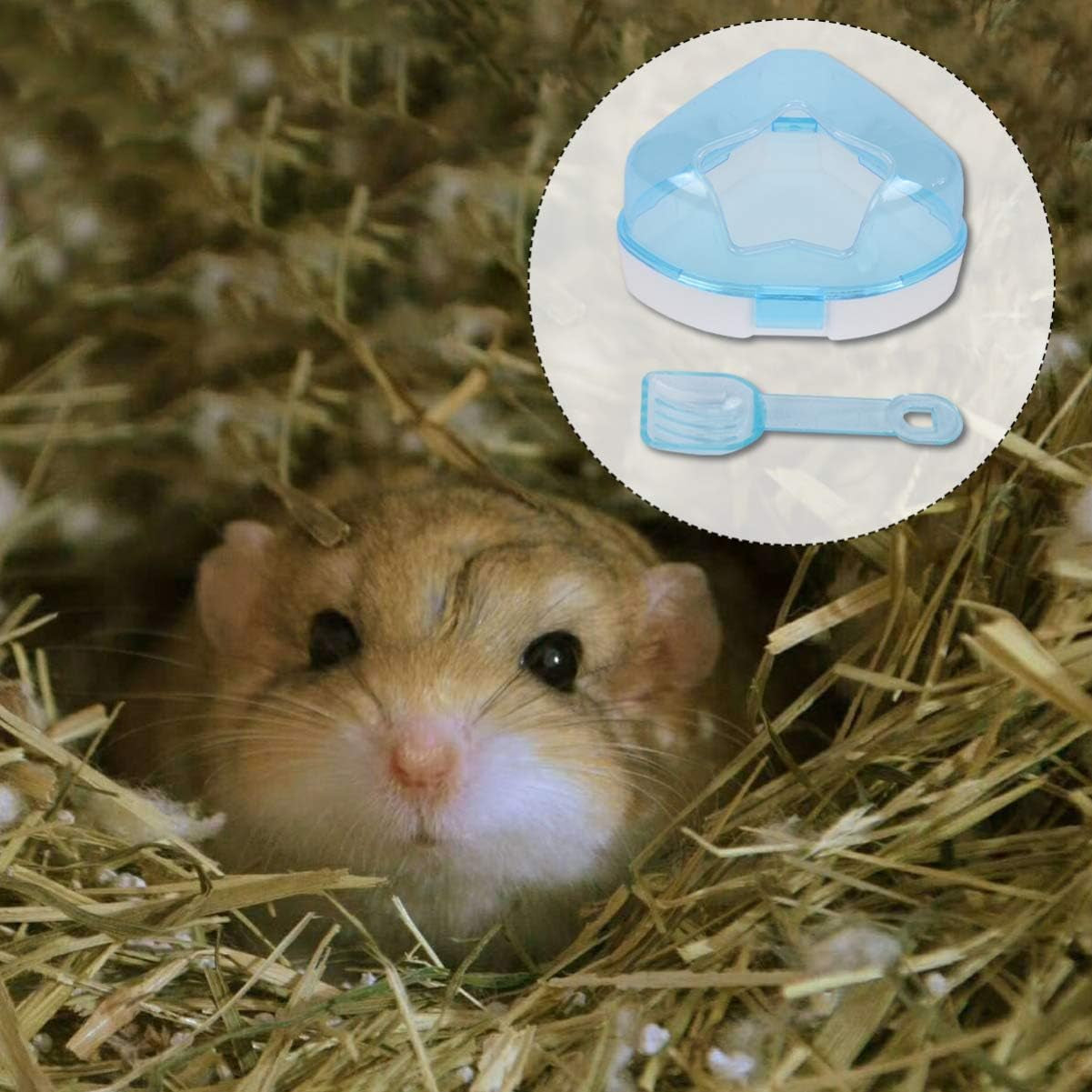 Hamster Sand Bathroom Plastic Sand Bath Container with Scoop Hamster Bathroom Sauna Toilet Bathtub for Mouse Hamster Chinchilla Rat Gerbil (Random Color)
