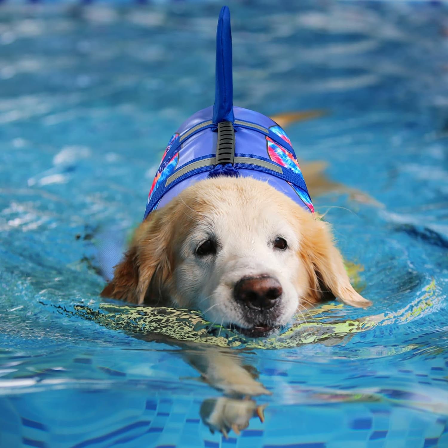 Dog Life Jacket - Pet Safety Vest for Swimming & Boating, Shark Life Jacket with Floatation, Dog Lifesavers Swimsuits for Small Medium Large Dogs (Blue Bandhnu, XL)