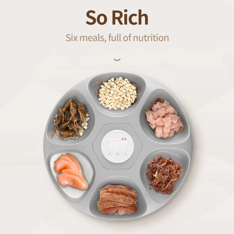 6 Meals Automatic Pet Feeder Smart Cat Food Dispenser for Wet & Dry Food Kibble Dispenser Accessories Auto Feeder for Cat