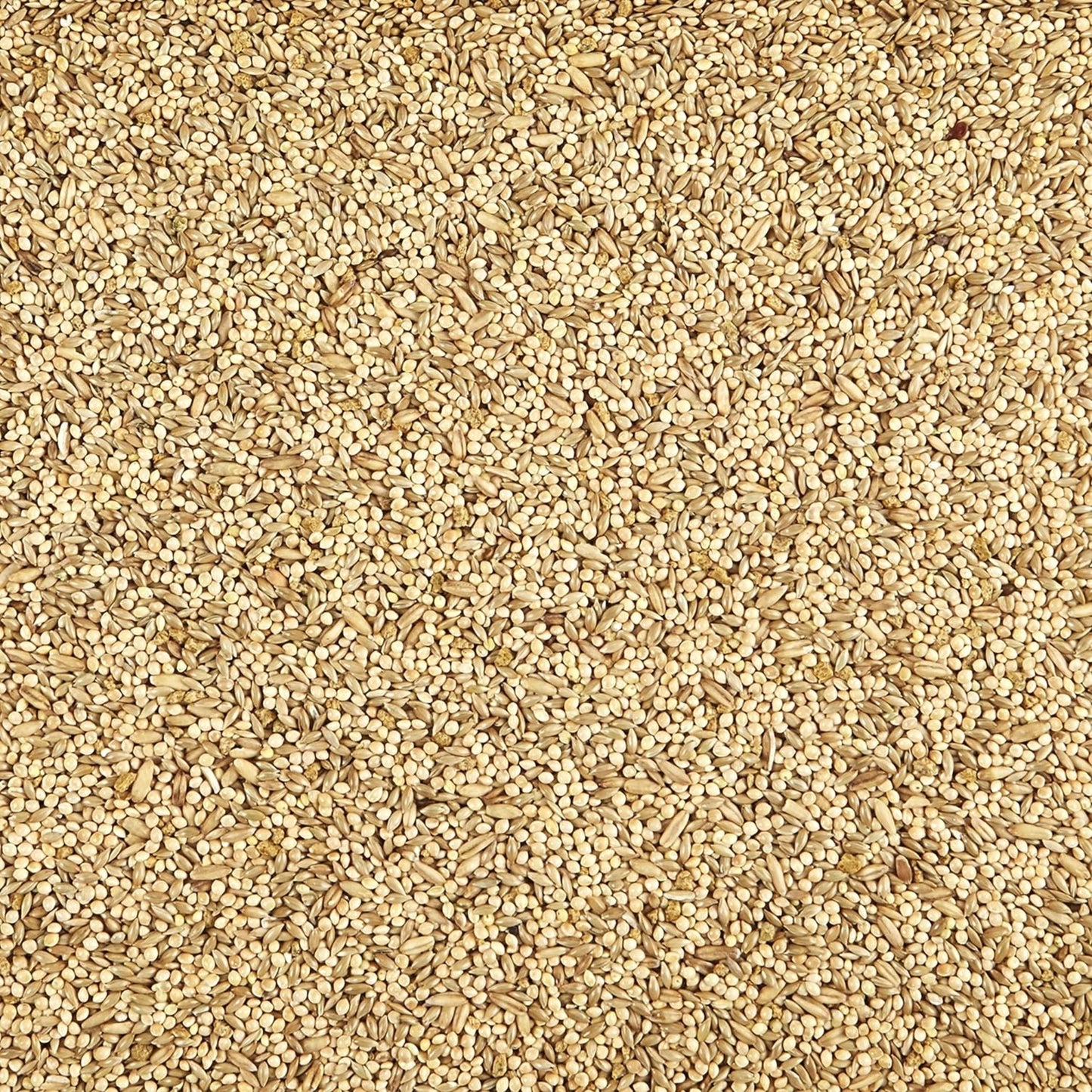 Kaytee Supreme Parakeet Food, 20Lb