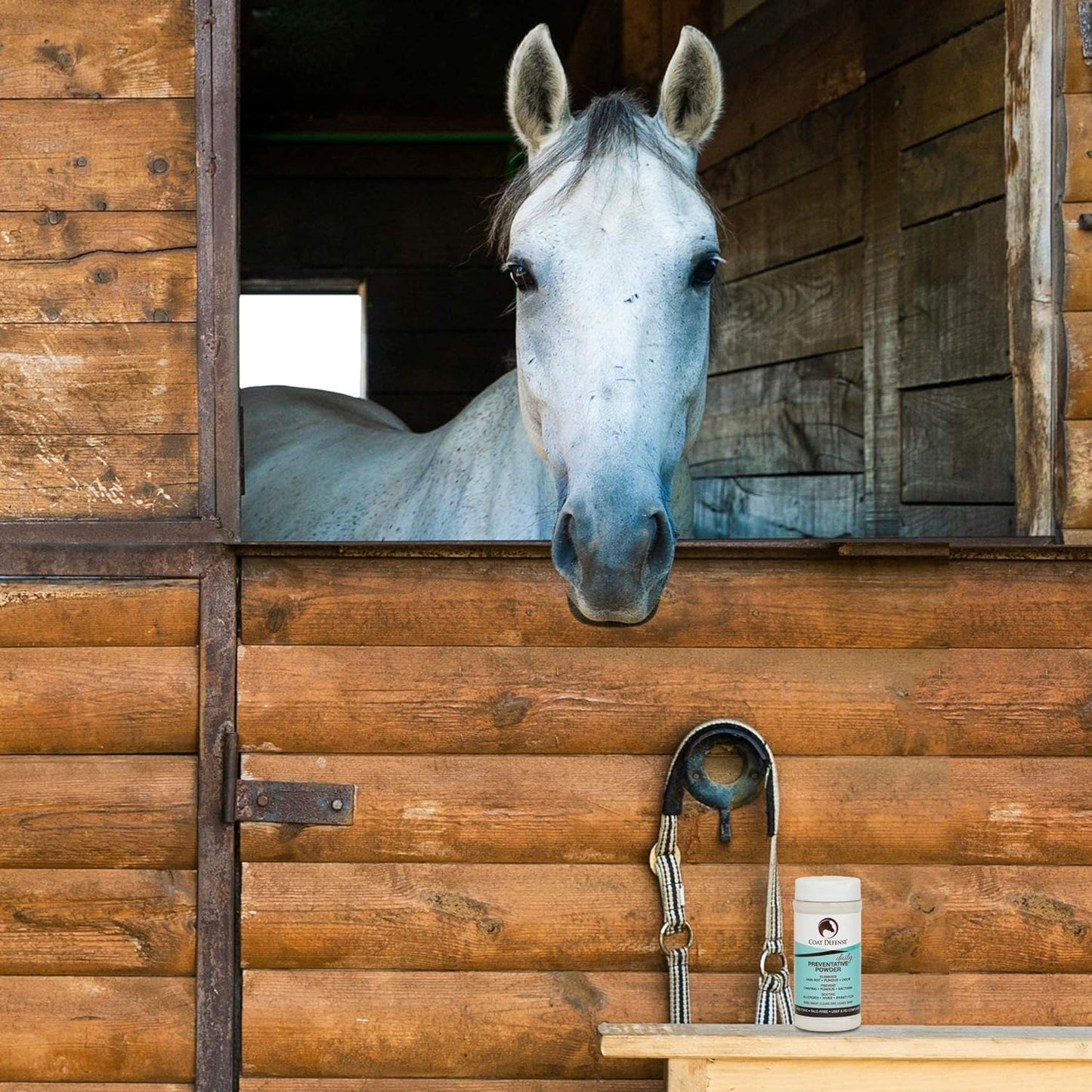 Daily Grooming Powder for Horses | Dry Shampoo with Natural Ingredients | 64 Oz Formula for Fresh, Healthy-Looking Coat