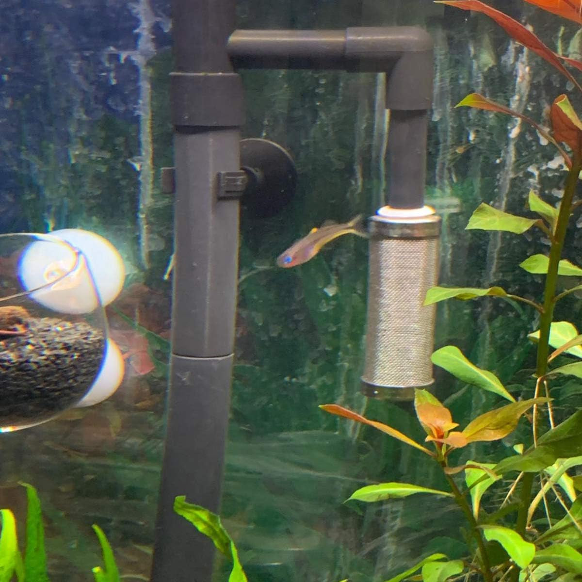 ny 16Mm Aquarium Inflow Inlet Filter Stainless Steel Fish Shrimp Mesh Net Filter Guard,Fish Tank Intake Strainer Pre-Filter Cover