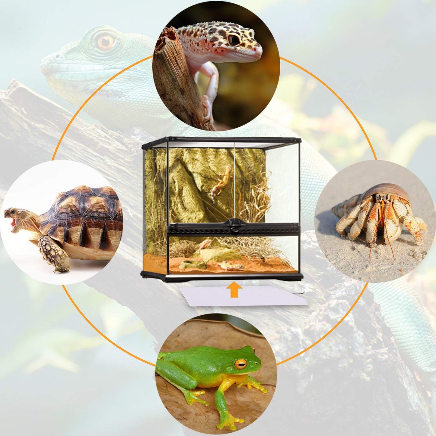 Reptile Heating Pad - 6X8Inch Hermit Crab Heater Heat Mat for Reptiles Snake Lizard Terrarium 8 Watt 2Pack