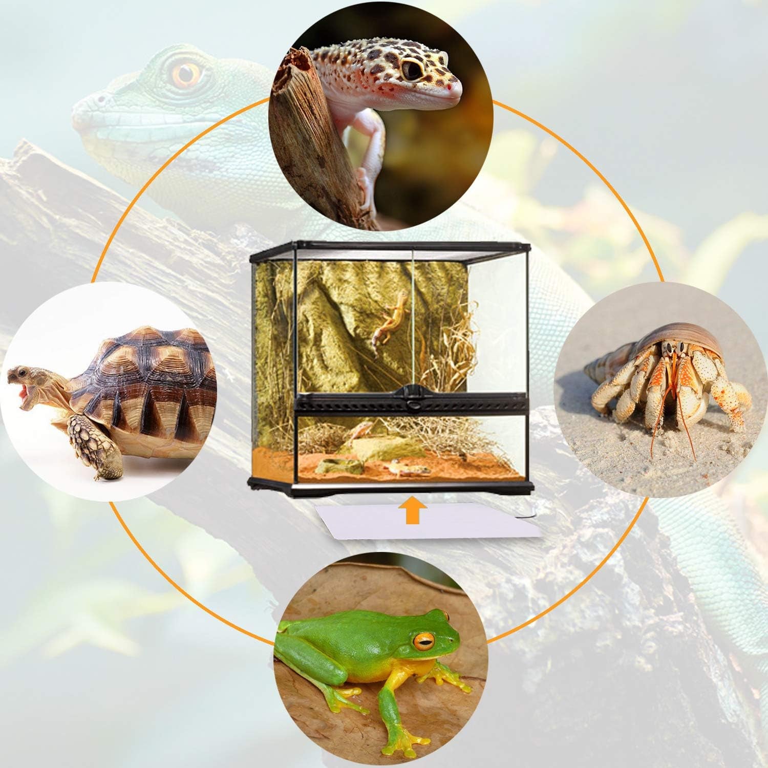 Reptile Heating Pad - 6X8Inch Hermit Crab Heater Heat Mat for Reptiles Snake Lizard Terrarium 8 Watt 2Pack