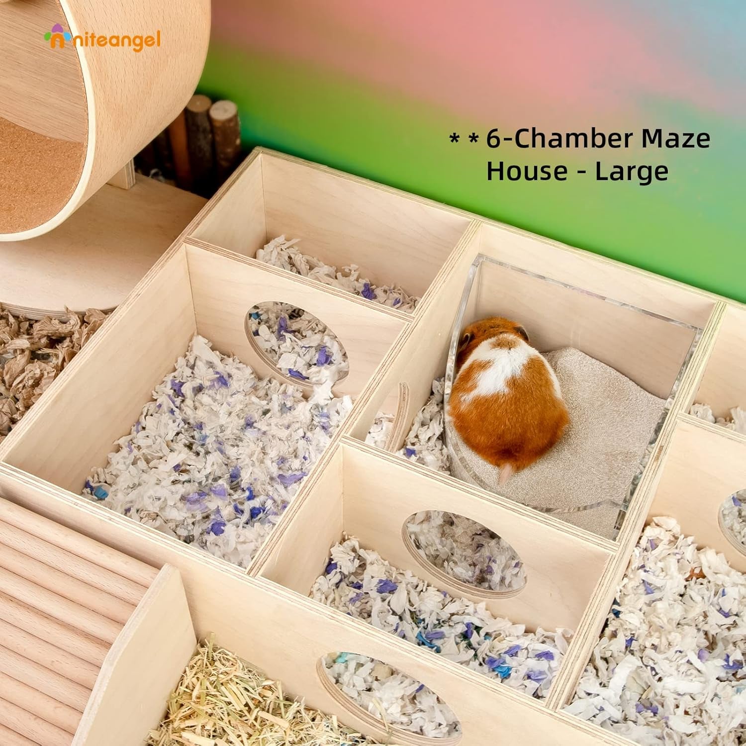 Small Animal Sand-Bath Box - Acrylic Critter'S Sand Bath Shower Room & Digging Sand Container for Hamsters Mice Lemming Gerbils or Other Small Pets (Fan-Shaped, Transparent)