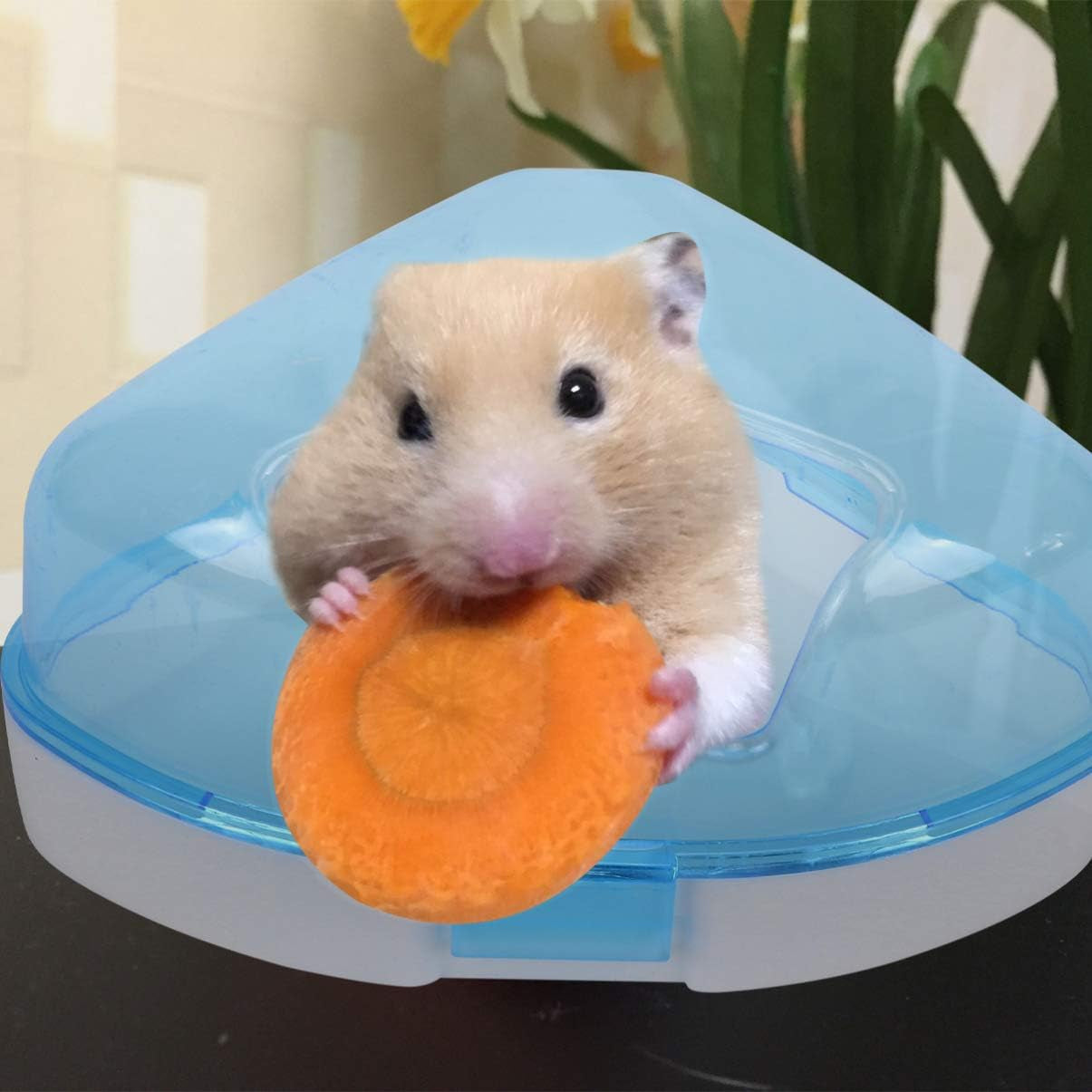 Hamster Sand Bathroom Plastic Sand Bath Container with Scoop Hamster Bathroom Sauna Toilet Bathtub for Mouse Hamster Chinchilla Rat Gerbil (Random Color)