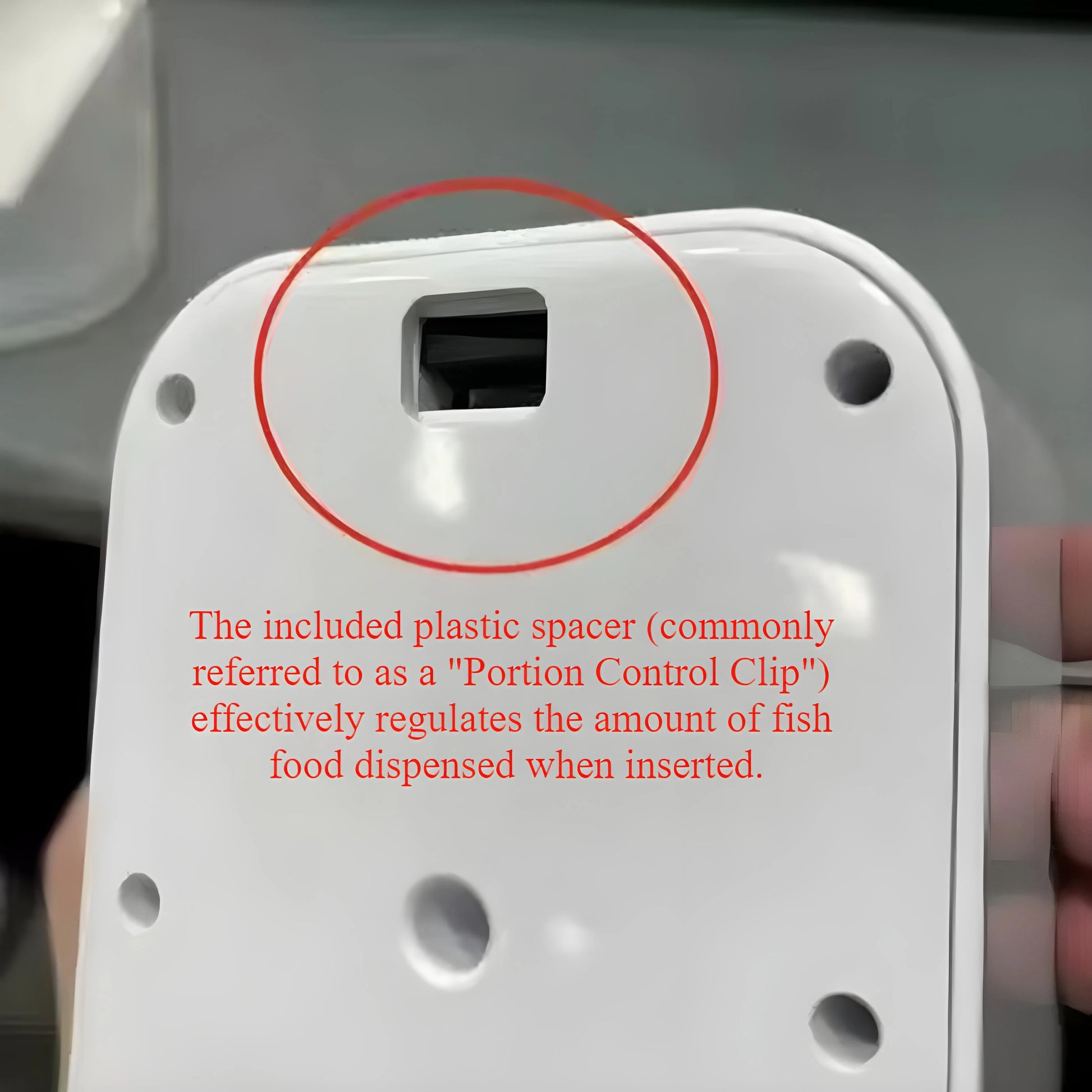 Fish Feeder/Automatic Fish Tank Feeder/5-Speed Feed -5-Speed Timed Feeding/Feeding Small Fish, Turtles, and Goldfish