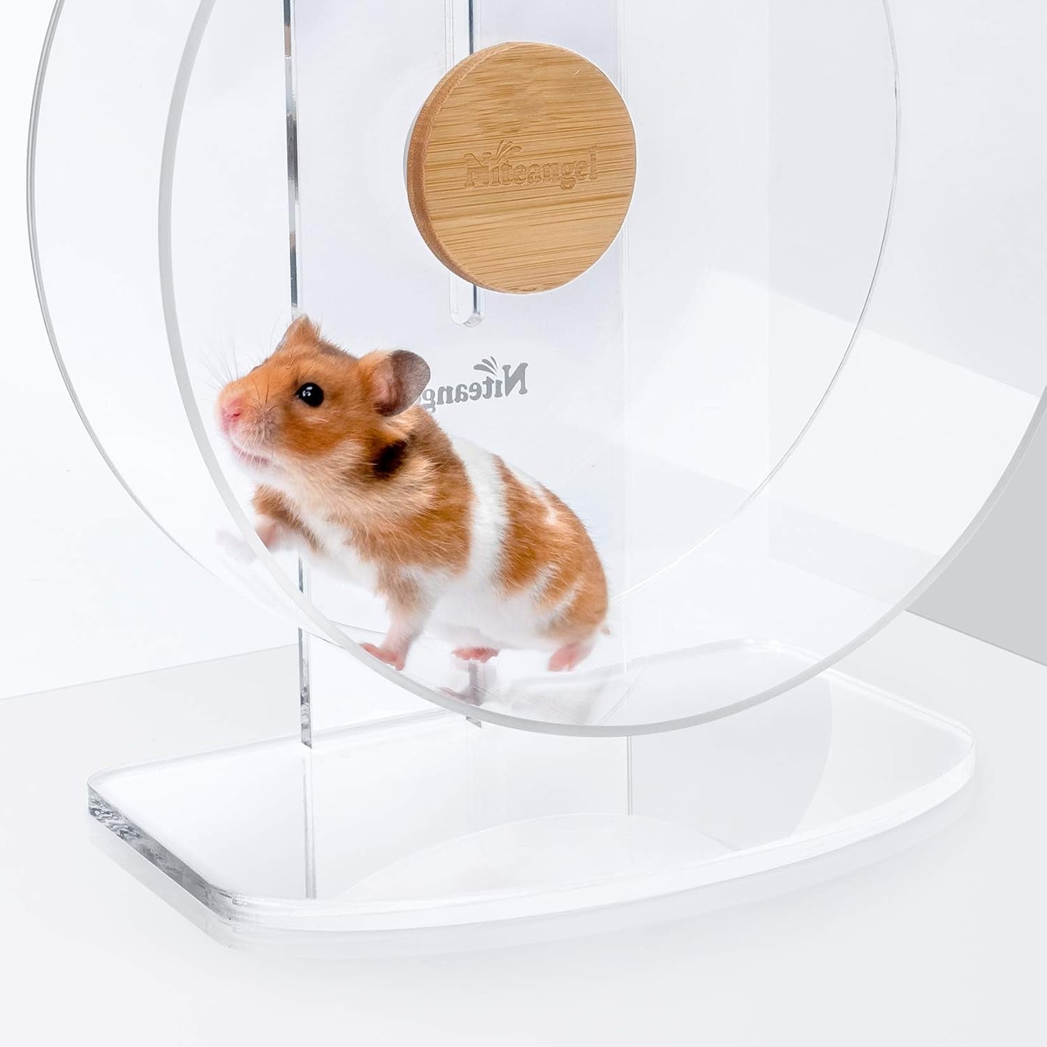 Silent Hamster Exercise Wheel: - Dual-Bearing Quiet Spinning Acrylic Hamster Running Wheel for Dwarf Hamster Gerbils Mice Degus or Other Small Animals (S)