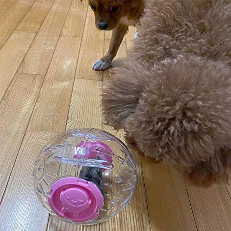 Silent Hamster Mini Running Activity Exercise Ball 4.72 Inch Toy Transparent Hamster Ball Dog Special Toy Ball Small Animals Cage Accessories (4.72In Pink Glow)