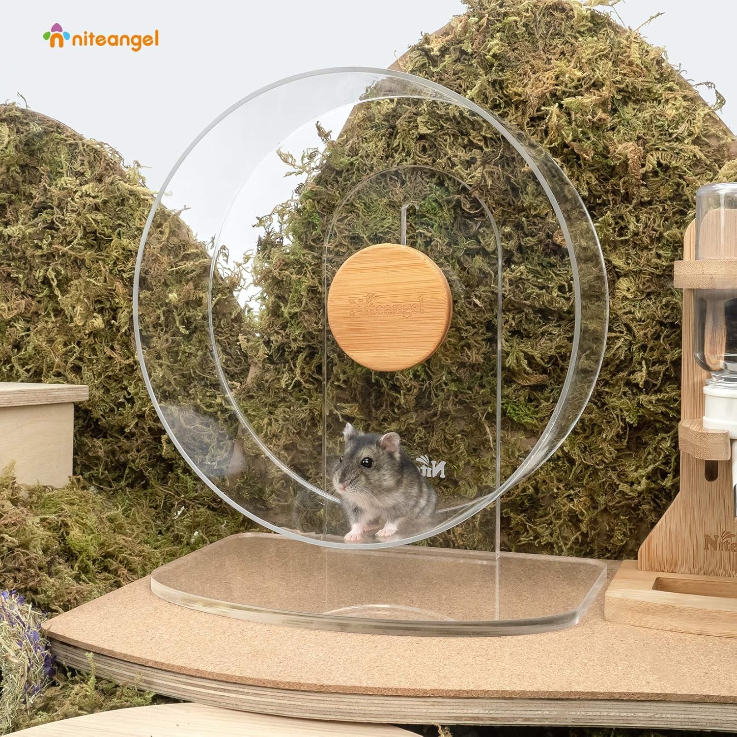 Silent Hamster Exercise Wheel: - Dual-Bearing Quiet Spinning Acrylic Hamster Running Wheel for Dwarf Hamster Gerbils Mice Degus or Other Small Animals (S)