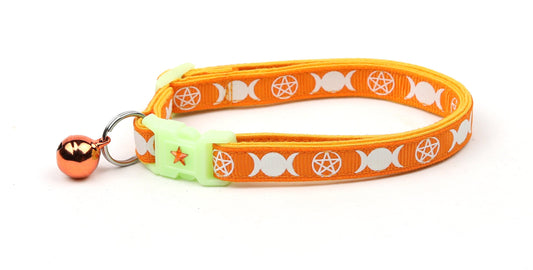 Witch's Familiar on Orange Cat Collar