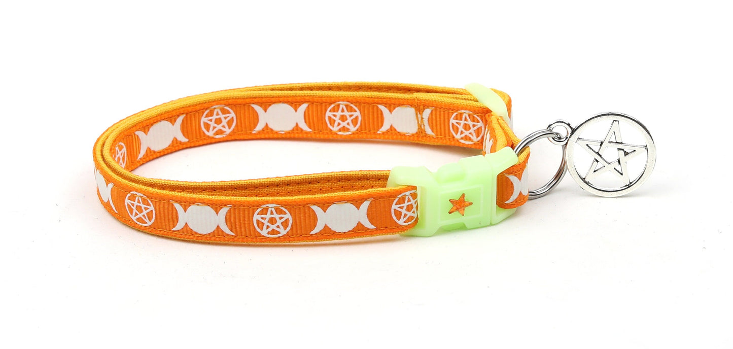 Witch's Familiar on Orange Cat Collar
