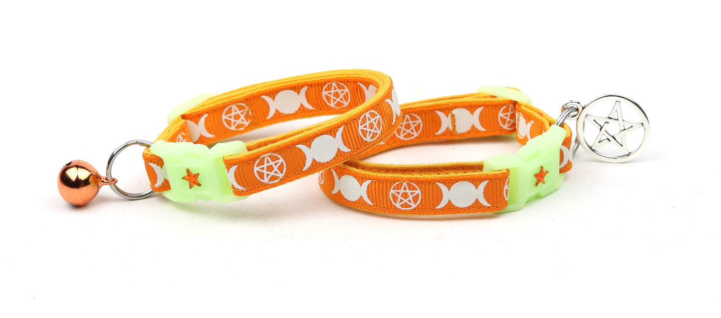 Witch's Familiar on Orange Cat Collar