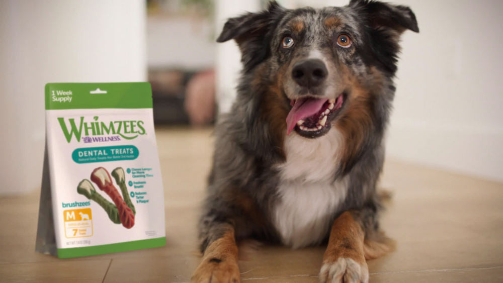 WHMZ DNTL CHW MEDIUM 7CT ( 4 X 7.4 OZ   )-1