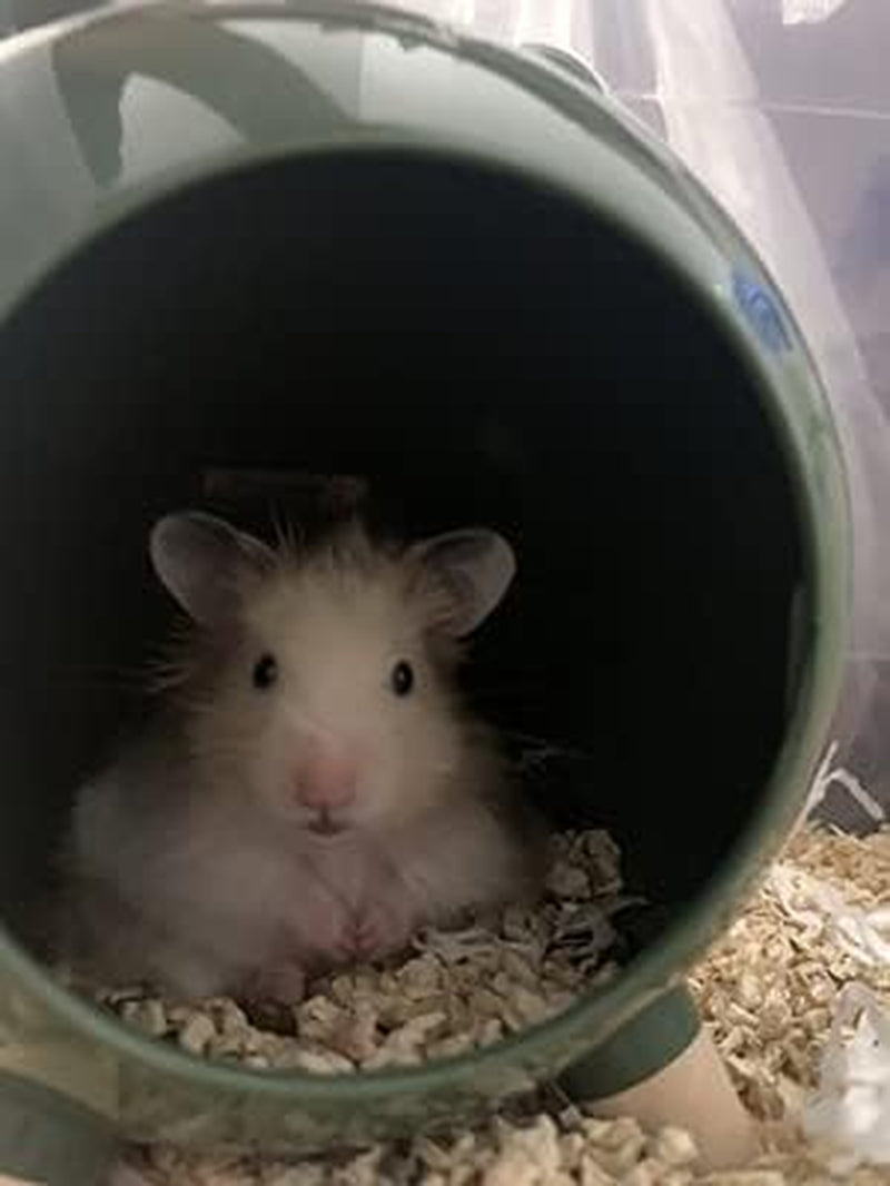 Burrowing Comfortable Hamster House Large Hideout for Ferret Hedgehog Chinchilla Bear Dragon Nest Hamster Accessories (Green)