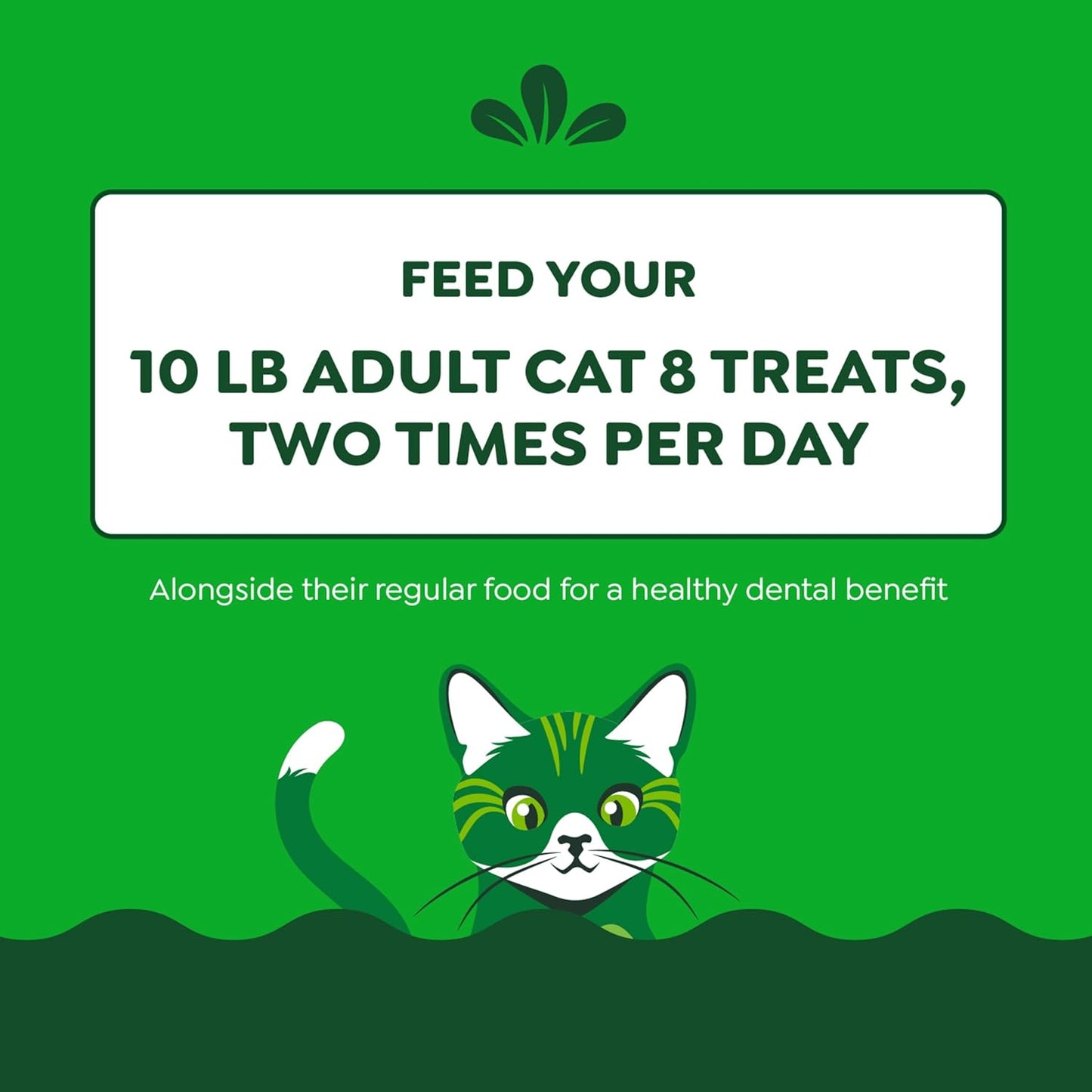 Feline Adult Dental Cat Treats, Tempting Tuna Flavor, 9.75 Oz. Tub