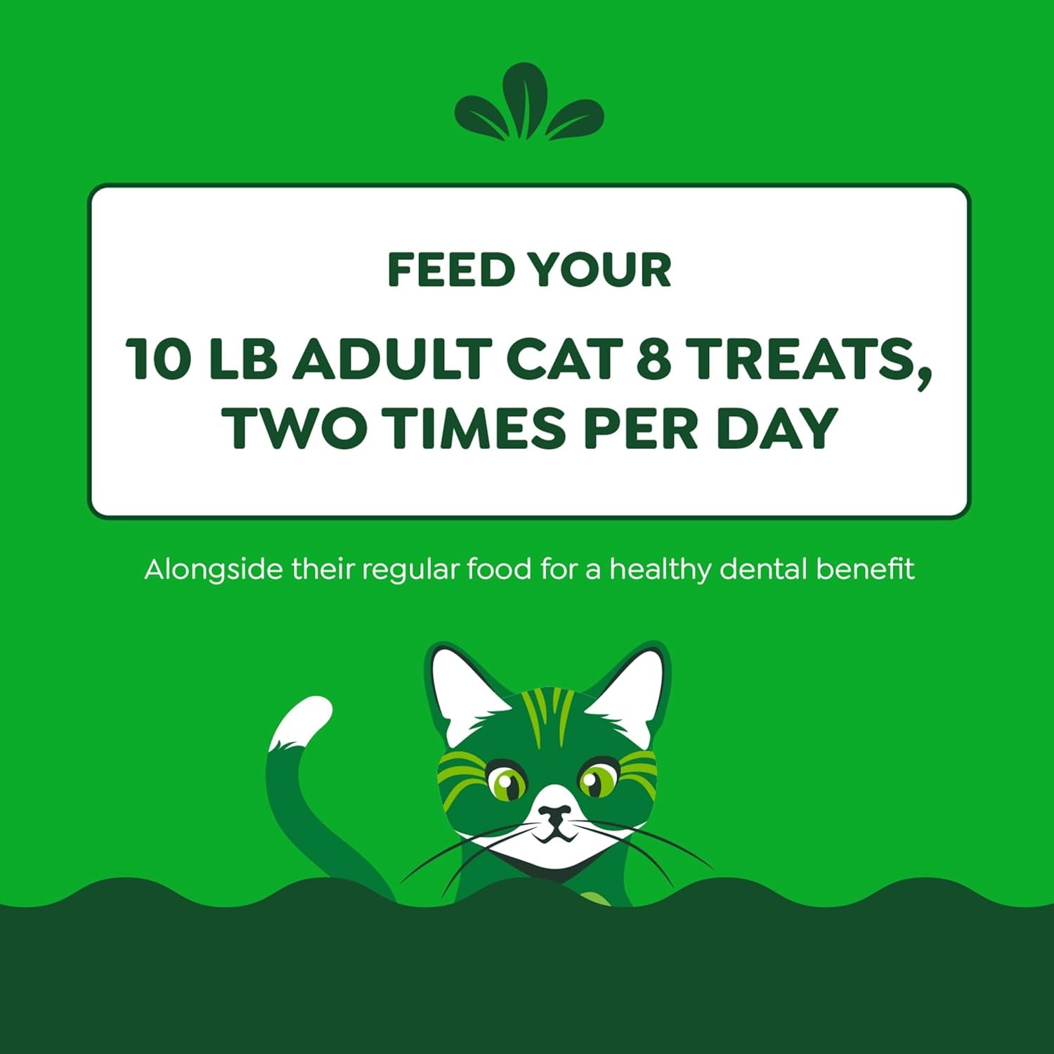 Feline Adult Dental Cat Treats, Tempting Tuna Flavor, 9.75 Oz. Tub
