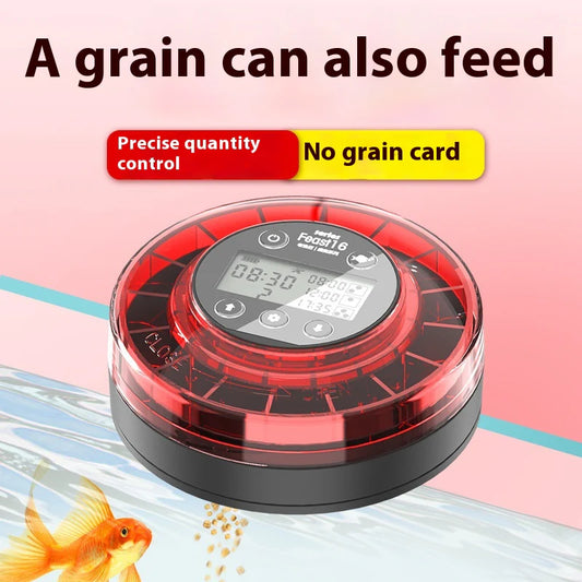Automated Aquarium Feeder Schedule for Fish Food