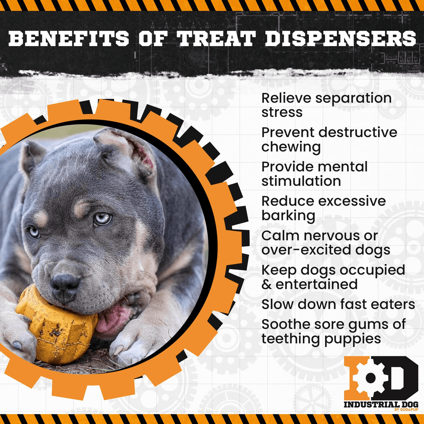 Durable Rubber Chew Toy and Treat Holder for Dogs