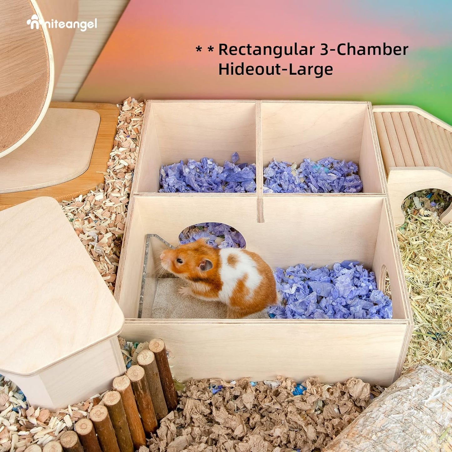 Small Animal Sand-Bath Box - Acrylic Critter'S Sand Bath Shower Room & Digging Sand Container for Hamsters Mice Lemming Gerbils or Other Small Pets (Fan-Shaped, Transparent)