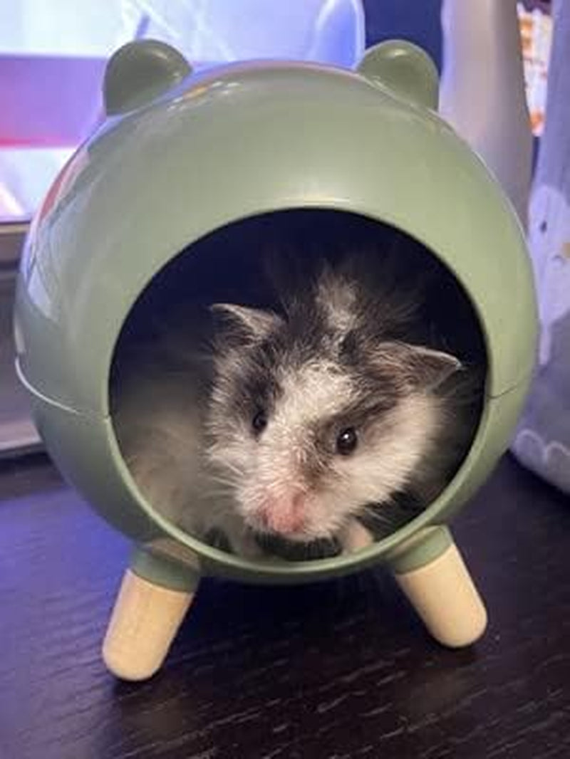 Burrowing Comfortable Hamster House Large Hideout for Ferret Hedgehog Chinchilla Bear Dragon Nest Hamster Accessories (Green)