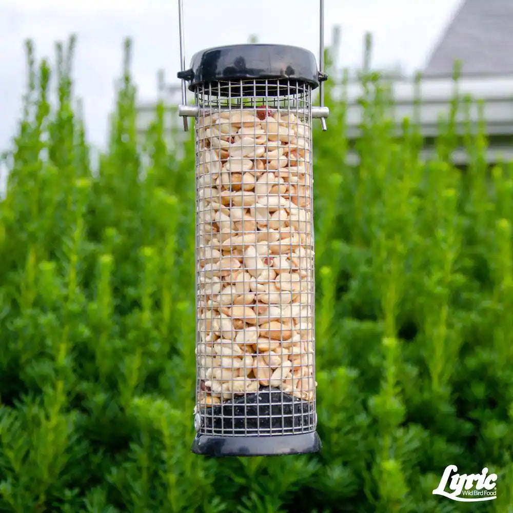15 Lbs. Peanut Pieces Wild Bird Food
