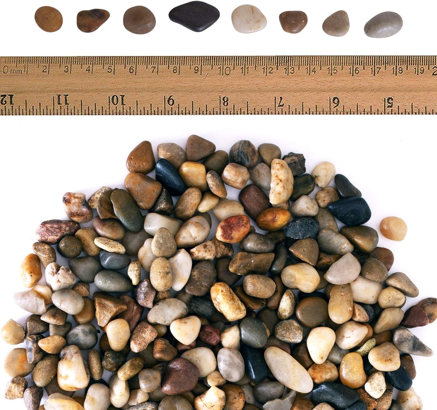 2 Lbs Approx. 200 River Rocks Stones for Plants Pebbles for Indoor Plants | Aquarium Fish Tank Rocks | Polished Decorative Rocks for Vases (0.3-0.6 Inches)