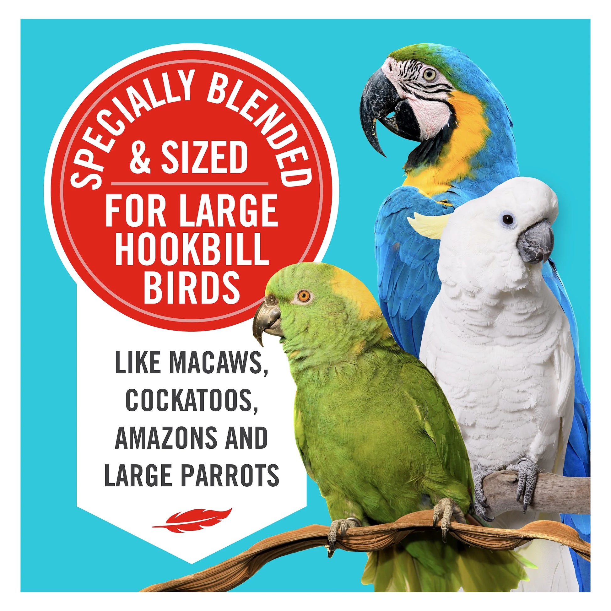 (4 Pack)  Natural Premium Parrot Food, with Fortified Pellets, 3 Lbs