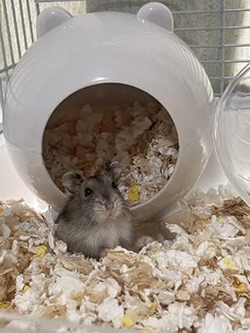Burrowing Comfortable Hamster House Large Hideout for Ferret Hedgehog Chinchilla Bear Dragon Nest Hamster Accessories (Green)