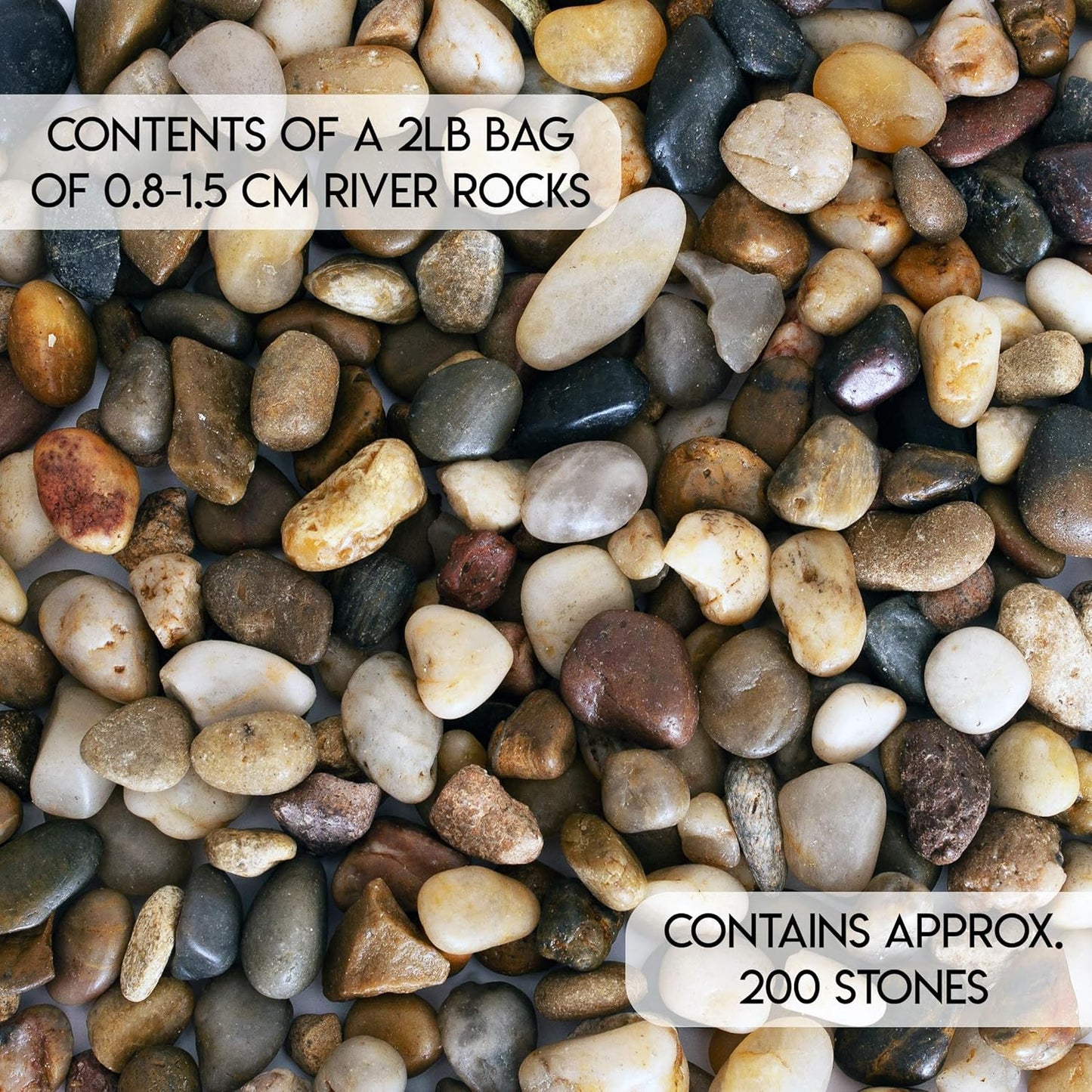 2 Lbs Approx. 200 River Rocks Stones for Plants Pebbles for Indoor Plants | Aquarium Fish Tank Rocks | Polished Decorative Rocks for Vases (0.3-0.6 Inches)